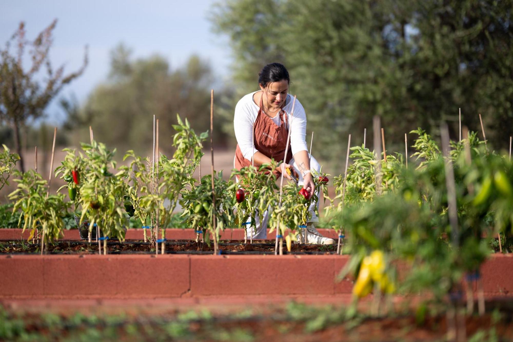 Eumelia Organic Agrotourism Farm Hotel Gouvai Exterior photo